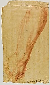 Left Arm of a Hunter