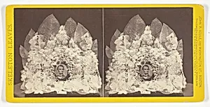 Lincoln, from the series "Skeleton Leaves"