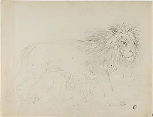Lion