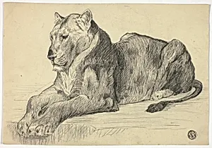 Lioness