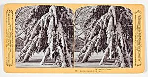 Loaded down with snow, No. 325 from the series "Wayside Gems" by Henry Hamilton Bennett