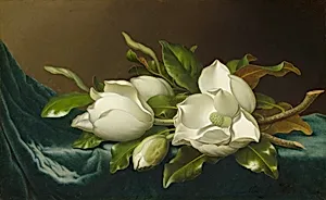 Magnolias on Light Blue Velvet Cloth