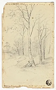 Man Sitting Under Trees