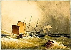 Marine Scene
