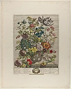 May, from Twelve Months of Flowers