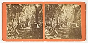 Moss Avenue, Fort George, Florida by Unknown