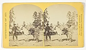 Mountain transportation. Pack mule, Pack and Packers, No. 7 from the series "Geographical Explorations and Surveys West of the 100th Meridian"