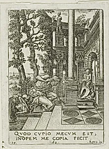 Narcissus
