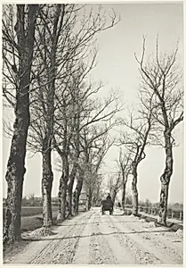November Days by Alfred Stieglitz