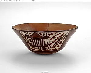 Open Bowl with Areas Depicting Abstract Plants and Animal Motifs by Nasca