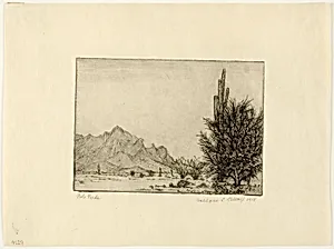 Palo Verde
