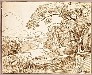 Panoramic Landscape
