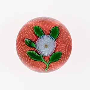 Paperweight by Compagnie de Saint Louis