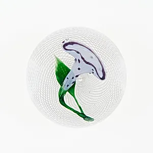 Paperweight by Clichy Glasshouse
