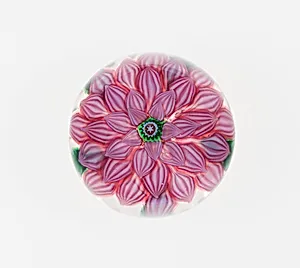Paperweight by Compagnie de Saint Louis