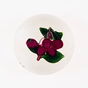 Paperweight