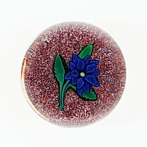 Paperweight by Compagnie de Saint Louis