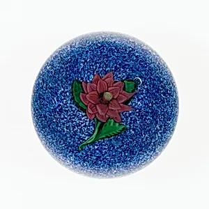 Paperweight by Compagnie de Saint Louis