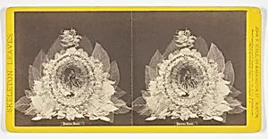 Parepa Rosa, from the series "Skeleton Leaves"