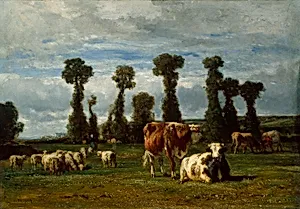 Pasture in Normandy