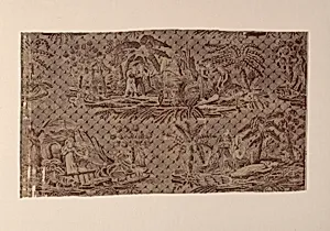 “Paul and Virginie” Furnishing Fabric by Cornelis