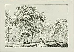People Walking in a Wood