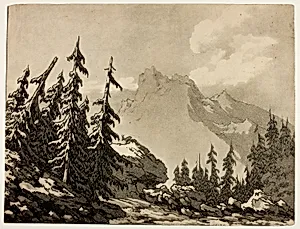 Pine Trees in the Mountains