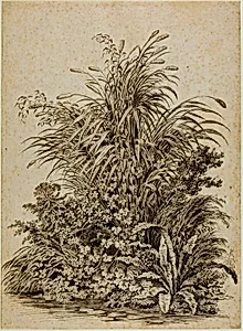 Plants at Water's Edge