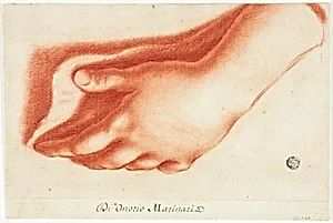 Plaster Cast of Left Hand