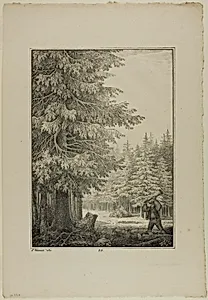 Plate 35 from Blatt Baum und Landschafts Studien