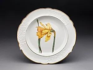 Plate
