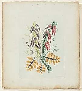 Plate, from New Suite of Notebooks of Ideal Flowers for Use by Draftsmen and Painters