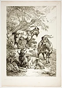 Plate Seventeen of 38 from Oeuvres de J. B. Huet by Jean Baptiste Huet