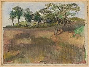Ploughed Field Bordered by Trees