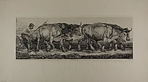 Plowing Oxen