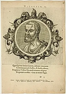 Portrait of Nicander