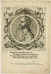 Portrait of Xenocrates