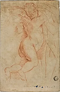 Putto Lifting Curtain (recto); Infant St. John (verso)