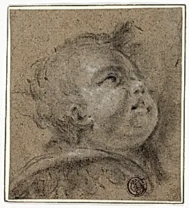Putto's Upturned Face
