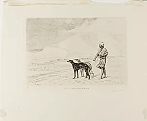 Relay of Dogs in the Desert