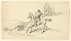 Rider Reining in Horse