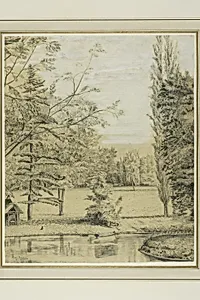 River and Park Landscape