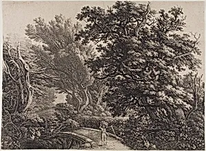 Rustic Bridge in a Tangled Wood