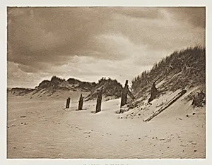 Sand Dunes