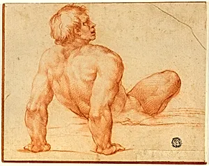 Seated Male Nude by Michelangelo Buonarroti