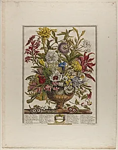 September, from Twelve Months of Flowers
