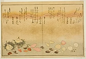 Shiro-gai, namima-gashiwa, makura-gai, iro-gai, aza-gai, sadae-gai, from the illustrated book "Gifts from the Ebb Tide (Shiohi no tsuto)" by Kitagawa Utamaro