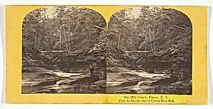 Six Mile Creek, Ithaca, N.Y. View in Ravine above Green Tree Fall