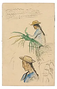 Sketches of Figures, Pandanus Leaf, and Vanilla Plant by Paul Gauguin