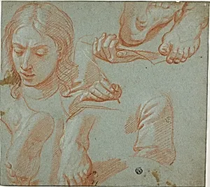 Sketches of Head, Hands, Shoulder, and Feet